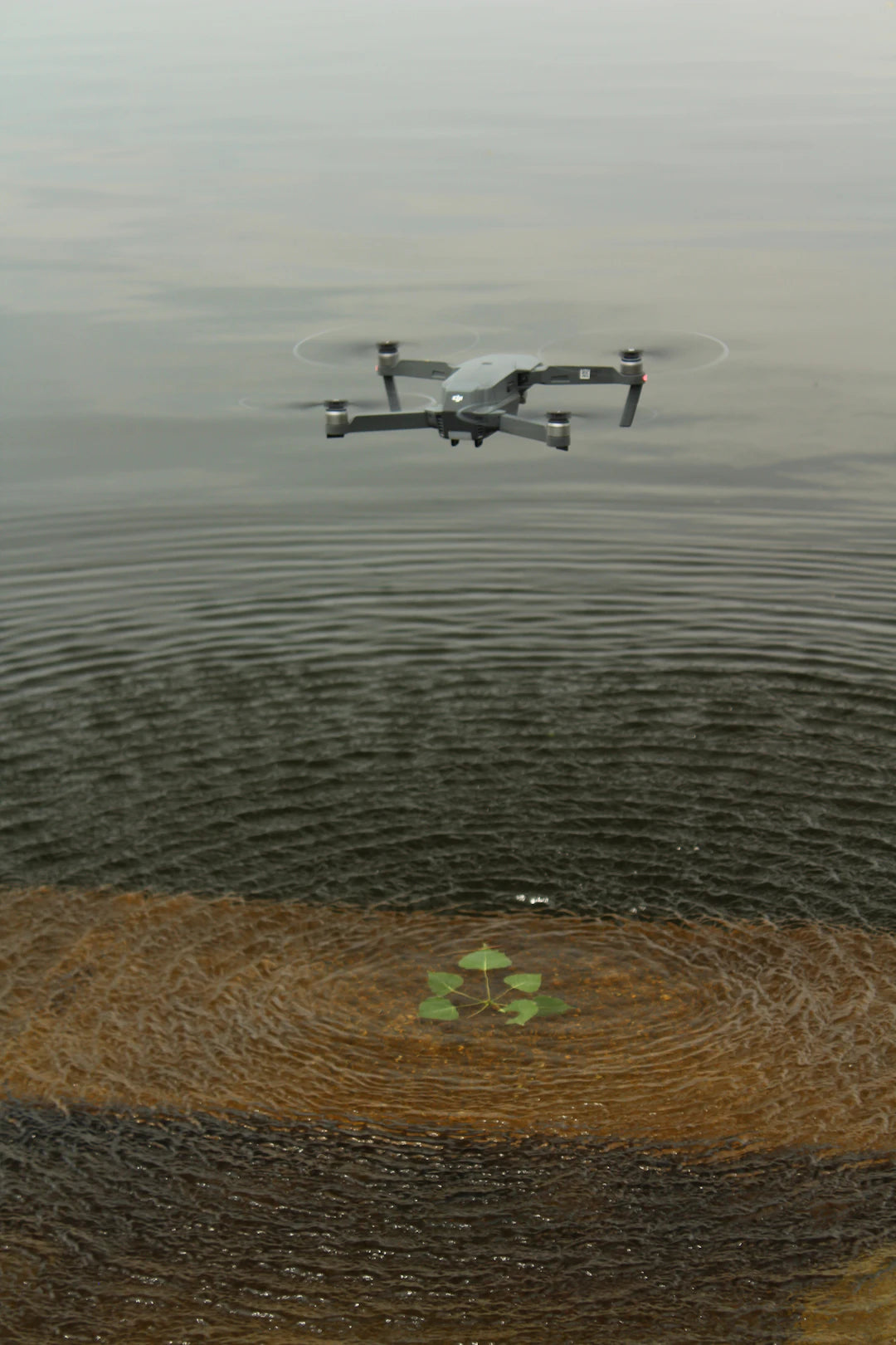 Advanced Drone Solutions for Wildlife Recovery