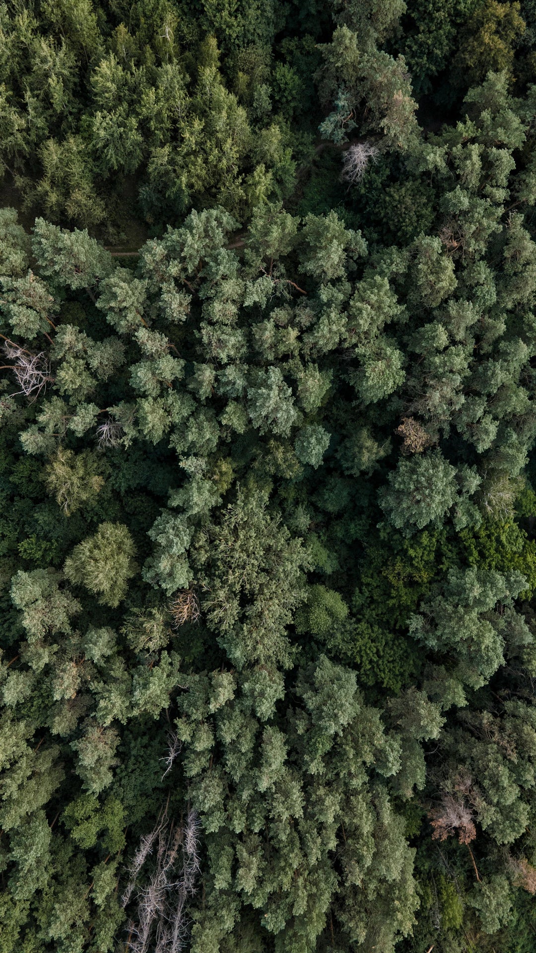 The Eco-Friendly Revolution Drones and the Matrice 4 Series
