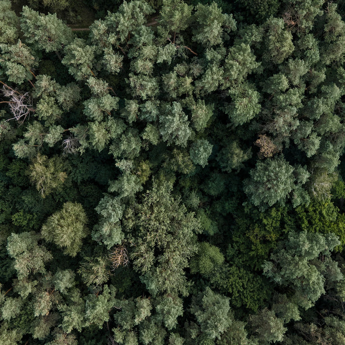 The Eco-Friendly Revolution Drones and the Matrice 4 Series