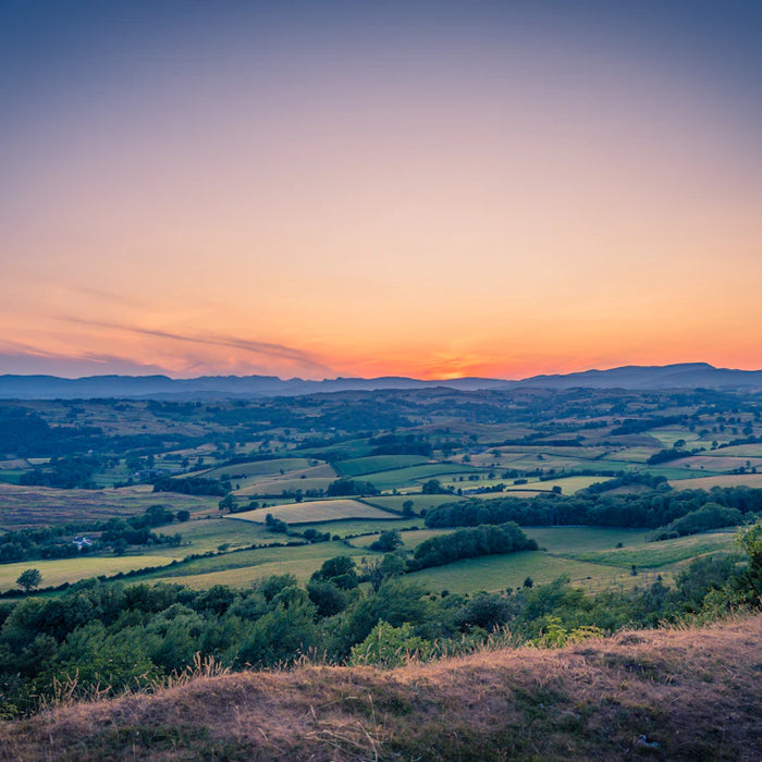 The Thriving Community of DJI Matrice 4 Series Users