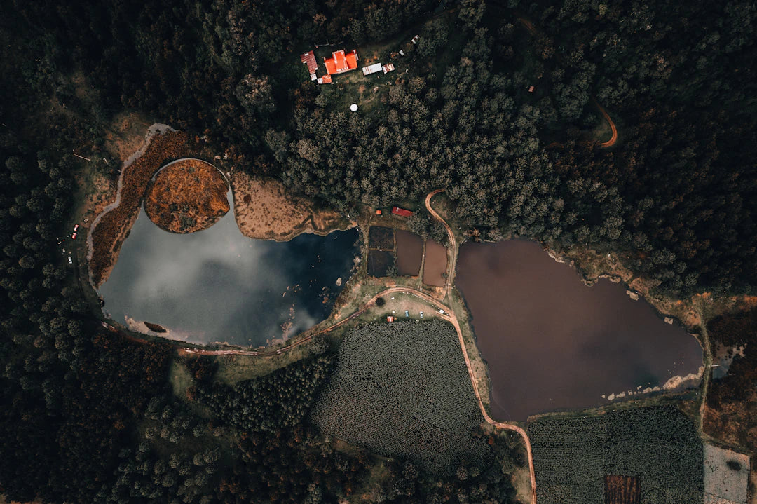 Eco-Friendly Drone Usage The Matrice 4T Perspective