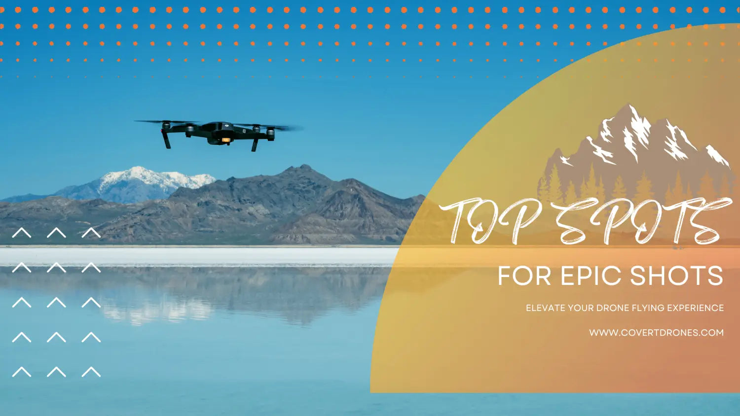 Unveiling Hidden Drone Spots - Covert Drones