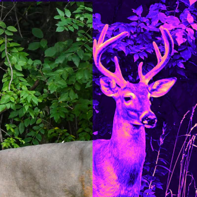 DJI Wildlife Bundles