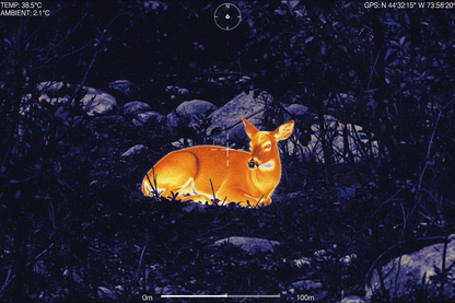Thermal camera display showing deer heat signature